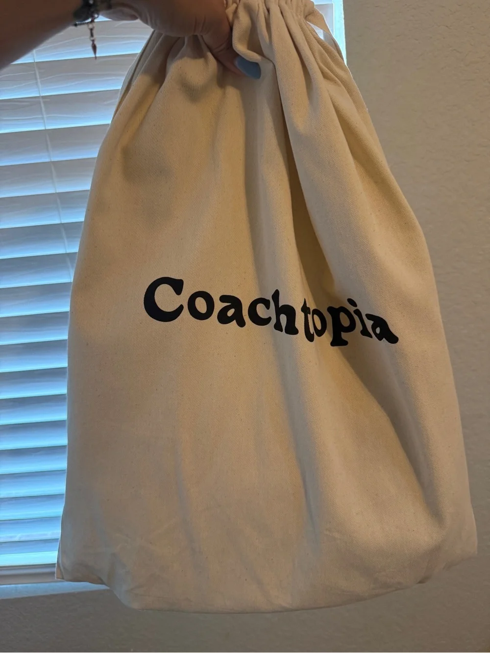 Coachtopia Alter Ego Crescent Shoulder Bag in Ruby